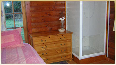 Bed, chest of drawers and shower