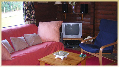 Seating and television in the lounge